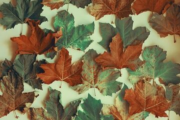 ,,Caritas est lumen." cz.2.