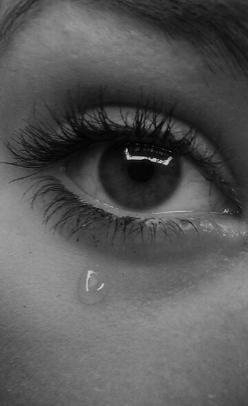 Księżycowy Kamień cz.8