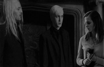 Dramione - niechciany obrońca rozdział 25