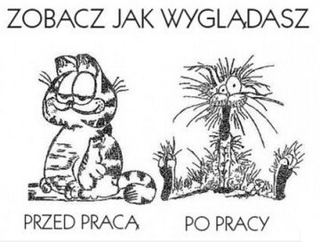 DO PRACY, RODACY!!!