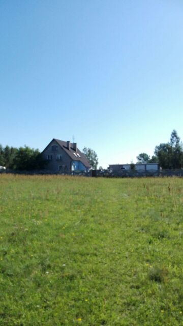 ,, Wyznanie miłości słowom"