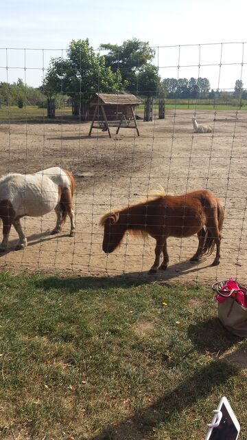 ,, Szurnieta Katarzyna cz 9