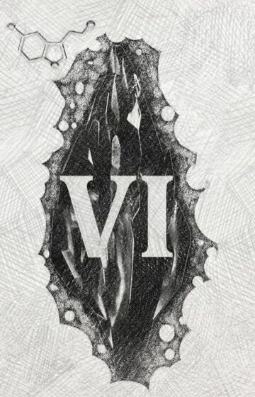 Mroczny kamień (VI)