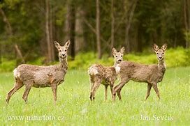 W biegu gubimy powroty