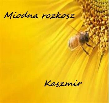 Drabble — Miodna rozkosz