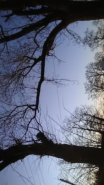 Siedemnastolatka podróż w czasie(odejście...)