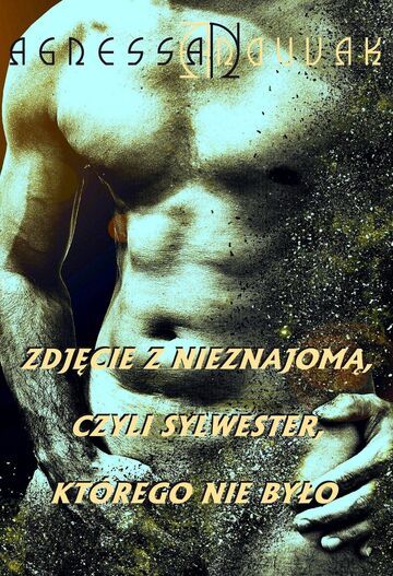 Zdjęcie z nieznajomą, czyli sylwester, którego nie było (część 2)