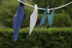 W gąbkę pójdziemy drodzy panowie