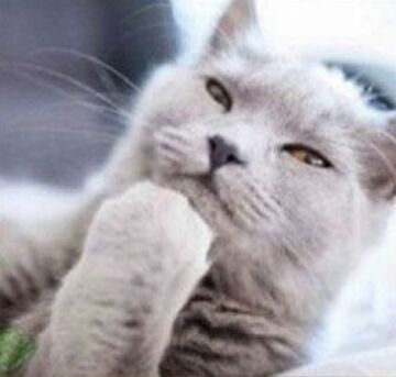 Zawód i rozczarowanie