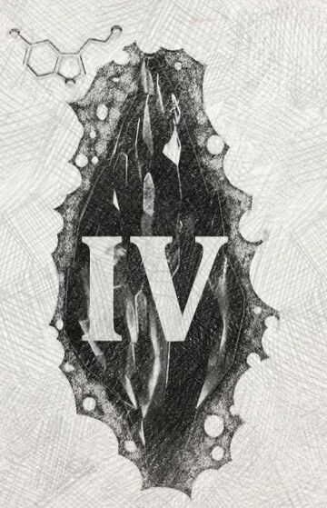 Mroczny kamień (IV)