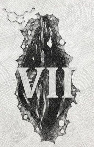 Mroczny kamień (VII)