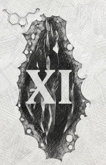 Mroczny kamień (XI)