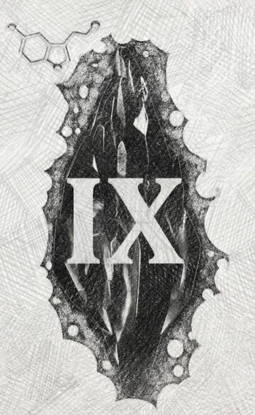 Mroczny kamień (IX)