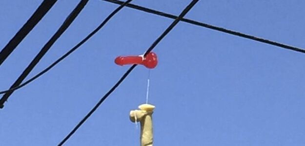 W amerykańskim Portalnd rozwieszono setki wibratorów!