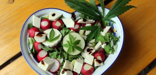 Uprawiam konopie na sałatki