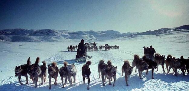 Eskimosi żądają pieniędzy na zamrażarki