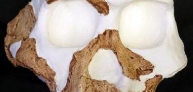 Twój "dziadek" był kanibalem!