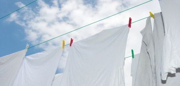 Kot-kleptoman kradł damską bieliznę