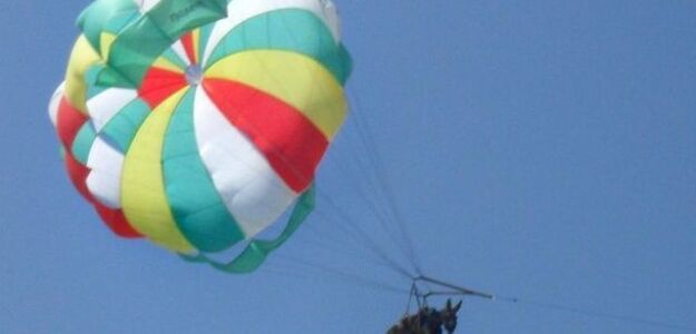 Przywiązali osła do spadochronu. Śledztwo trwa