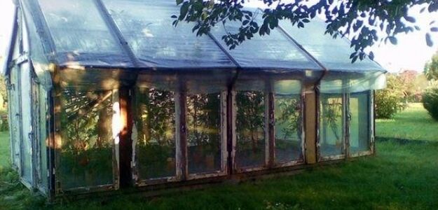 Sprytna bezrobotna. Poczytała w internecie i zaczęła uprawę konopi