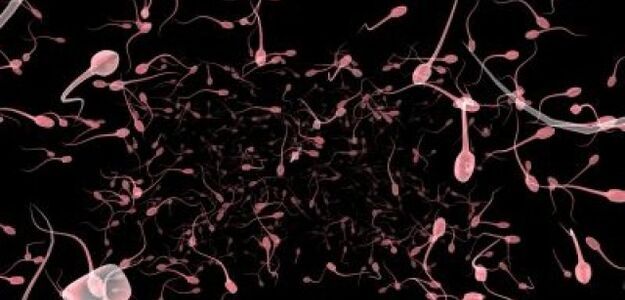 Dyskryminacja w banku spermy