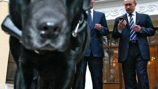 Putin testuje nawigację satelitarną na swoim psie