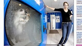 Myjnia automatyczna dla psów