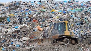 Przejrzeli 10 ton śmieci w poszukiwaniu obrączki