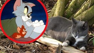 Tom i Jerry istnieją naprawdę!