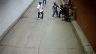 "Dzikusy" zaatakowali parę