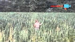 Panie, nie masz jakiegoś jointa?