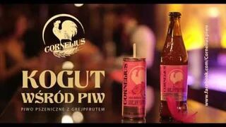 Cornelius, Kogut wśród piw 30'