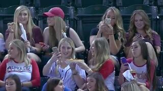 Kiedy laski pójdą na mecz