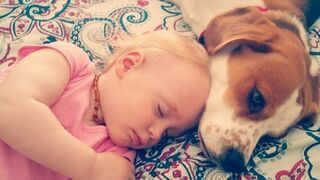 Cudowne życie psa z dzieckiem