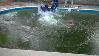 Wyścigi po zamarzniętym basenie