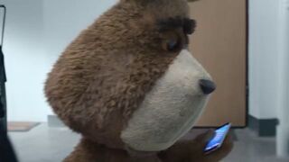 WiFi szukam - PLUSH FIFI