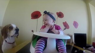 Psa nie trzeba uczyć jak kochać