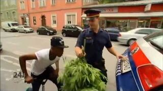 To jest gandzia? Zabawna reakcja