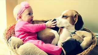 Mały pies o dużym sercu