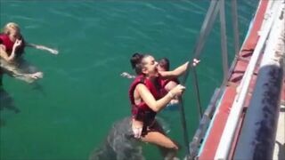 Ten delfin pozwala sobie na zbyt wiele