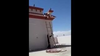 Mistrz trollowania; Schodzenie po drabinie