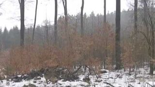 Latająca dziewczynka w Rosji