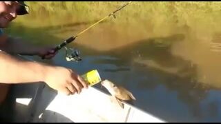 Jak wędkarz zakolegował się z rybą