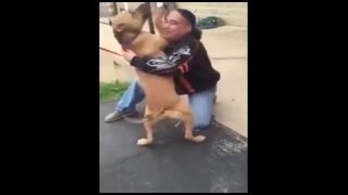 Mężczyzna odnajduje swojego psa po dwóch latach