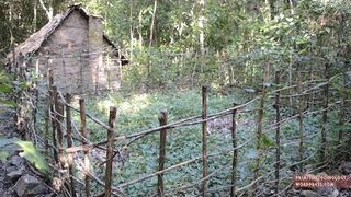 Jak zbudować ogródek do uprawy ziemniaków?