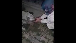 Psiak dziękuje dziewczynie za wodę