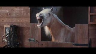 Nowa reklama volkswagena - Koń by się uśmiał
