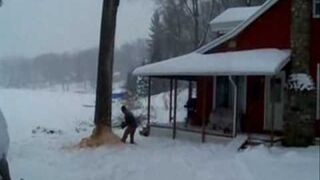 Drwal amator ścina drzewo wprost na dom