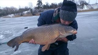 Wielki karp spod lodu (Big fish Ice Fishing)