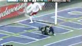 Amerykański Kuszczak